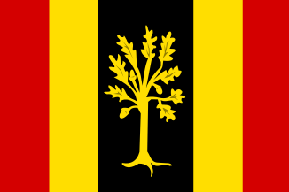 File:Waalwijk vlag.svg