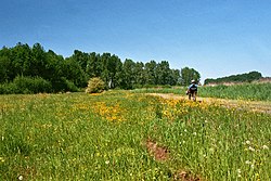 Natuurgebied en fietspad langs de noordwestoever van het Termunterzijldiep tussen Scheve Klap en Borgsweer