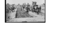 Ensilage de fourrages en silo-fosse, Afrique Occidentale Française, années 1930.