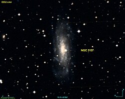 NGC 3137