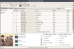 Screenshot di Banshee 0.12.1 su Ubuntu