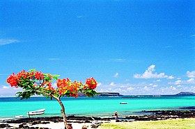 Plage de l'île Maurice.