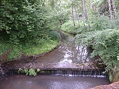 Haidelbach beim Wasserwerk Krämersweiher