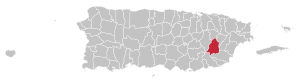 Map of Puerto Rico highlighting San Lorenzo Municipality