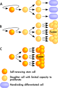 Tumor-en.svg