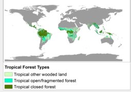 Tropical Forests 2000 by Major Ecological Domains.tif