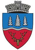 Wappen von Ibănești (Mureș)