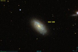 NGC 1299 SDSS.jpg