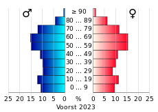 Bevolkingspiramide van de gemeente Voorst