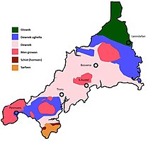 Dororieth Kernow, kyllas yw kemmyn yn karrygi Dewnek yn kledhbarth Kernow