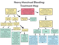 Heavy Menstrual Bleeding - Treatment Workflow.jpg