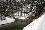 Mündung in die Steyr