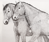 Illustration of early Bronze Age horse bridles from Britain.[33]