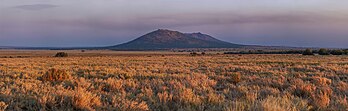 Paysage du parc national du Serengeti, dans la région de Mara (Tanzanie). (définition réelle 22 524 × 7 200)