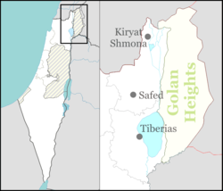 Dan is located in Northeast Israel