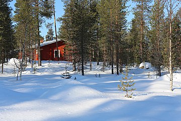 Nature of Inari