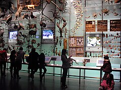 Le hall de la biodiversité.