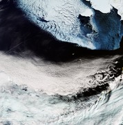 Bering Sea ESA376705.tiff