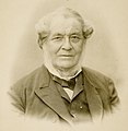 Robert Bunsen (1811–1899)