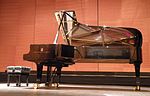 Thumbnail for Steinway D-274