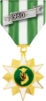 Vietnam Campaign Medal