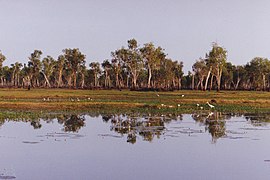 Parque nacional Kakadu