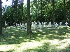 Military cemetery from World War I and World War II in Dąbrowa Tarnawacka near Tarnawatka (5).jpg