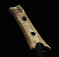 56 Divje Babe flute (Late Pleistocene flute) uploaded by PetarM, nominated by PetarM,  7,  2,  0