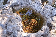 Das Becken auf dem Dolmen