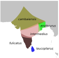 Map showing subspecies distributions