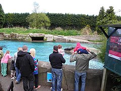 Sea lion pool, Belfast Zoo - geograph.org.uk - 1848084.jpg