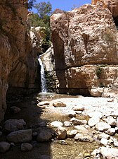 Nahal Arougot près de Ein Gedi.