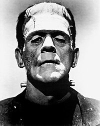 Lo mostre de Frankenstein incarnat per Boris Karloff