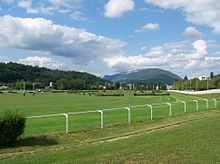 Photographie en couleurs de la piste engazonnée d'un hippodrome.