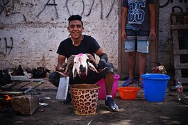 Joven posa con osamenta durante Eid al-Adha en Casablanca 01.jpg