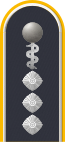 Dienstgradabzeichen auf der Schulterklappe der Jacke des Dienstanzuges für Luftwaffenuniformträger (Humanmedizin).