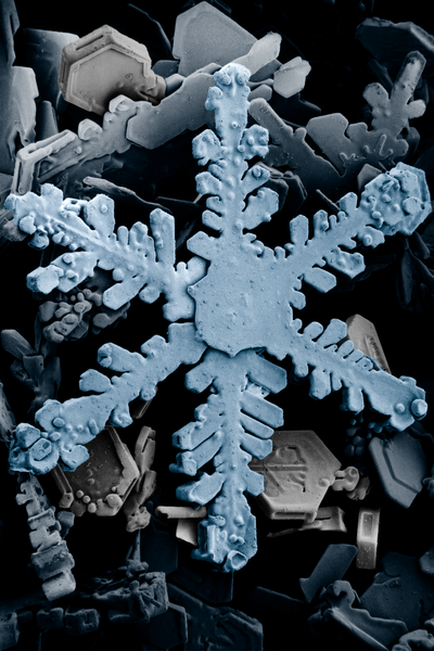 File:Snow crystals 2b.png