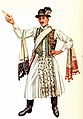 Image 47A vőfély in traditional costume, c. 1885 (from Culture of Hungary)