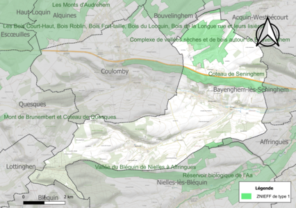 Carte des ZNIEFF de type 1 sur la commune.