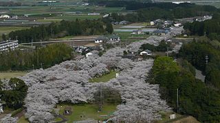 母智丘・関之尾県立自然公園