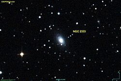 NGC 2333