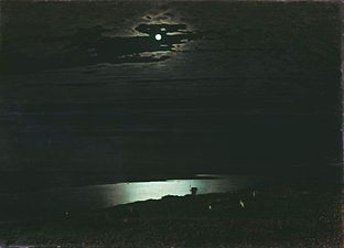 Moonlit Night on the Dnieper (1880)