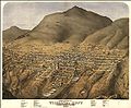 Virginia City 1875.