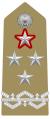 Distintivo per controspallina di generale di corpo d'armata con incarichi speciali dell'Esercito Italiano