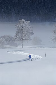 Vista hivernal