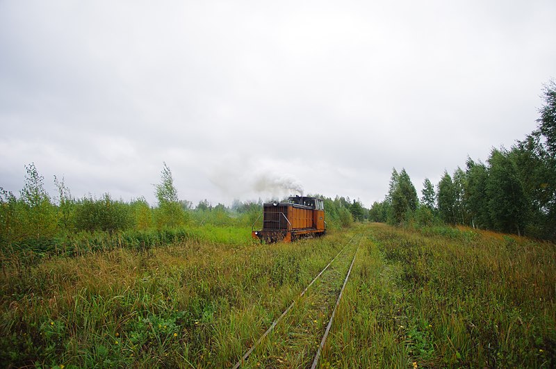 File:Gus-Khrustalny District, Vladimir Oblast, Russia - panoramio (98).jpg