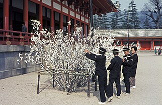 Omikuji-ennustuksia vuonna 1965