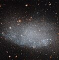 Galaxy UGC 8201 is a dwarf irregular galaxy member of the M81 galaxy group.[9]