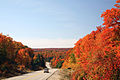 Image 8Algonquin Provincial Park (from Eastern Ontario)