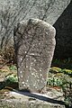 Statue-menhir de Haute Vergne.